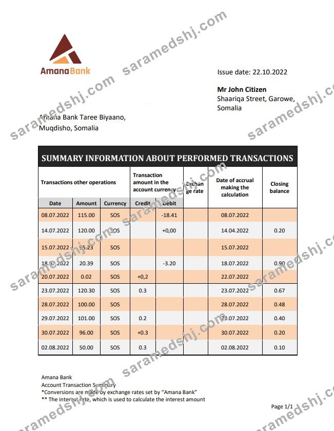 Somalia Amana bank statement